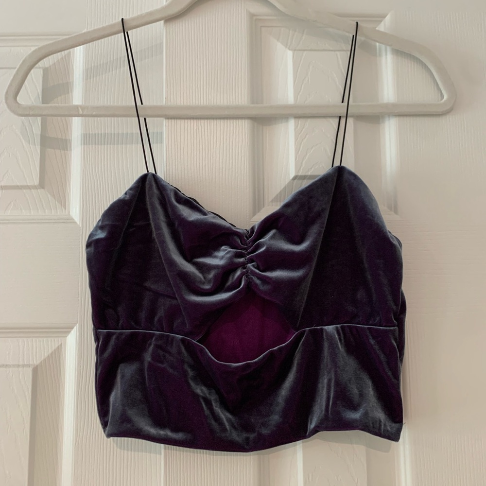 Purple Velvet Cropped top
